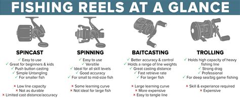 reels meaning.